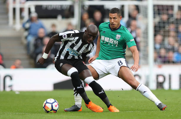 变成一只猫 变成一只猫