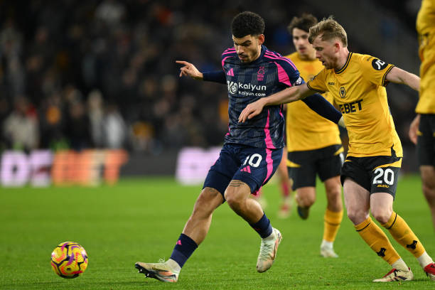 因素之一 因素之一