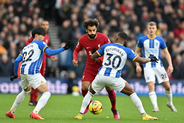 仅展现了韩 仅展现了韩